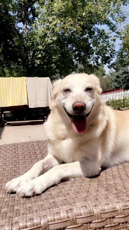 Entry image for Chloe. Clicking this image will show a larger photo