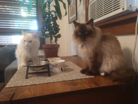 Entry image for Mr. & Mr. M. Clicking this image will show a larger photo