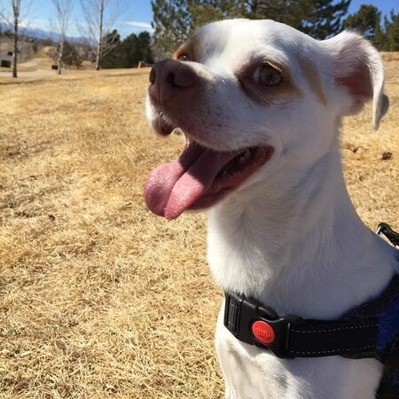 Entry image for Sheldon. Clicking this image will show a larger photo