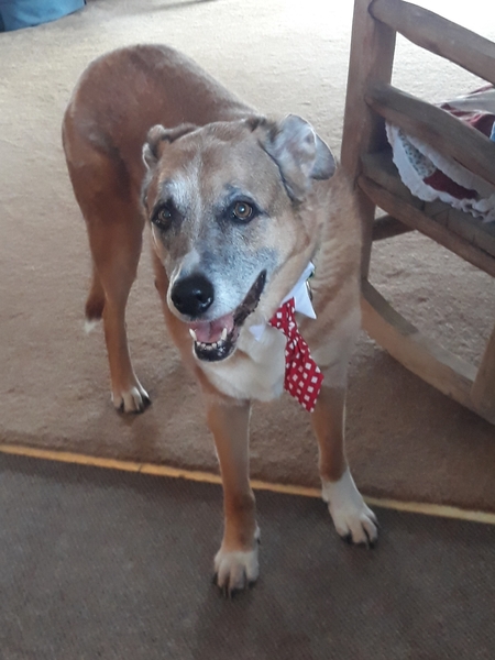 Entry image for D. Clicking this image will show a larger photo