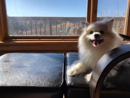 Entry image for Sake. Clicking this image will show a larger photo