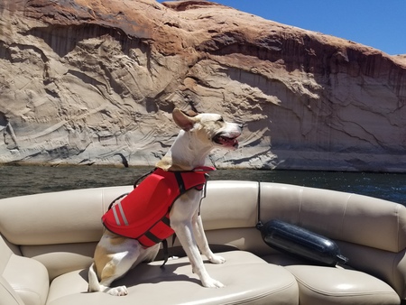 Entry image for Storm. Clicking this image will show a larger photo