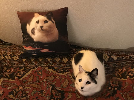 Entry image for Bessy Gay. Clicking this image will show a larger photo