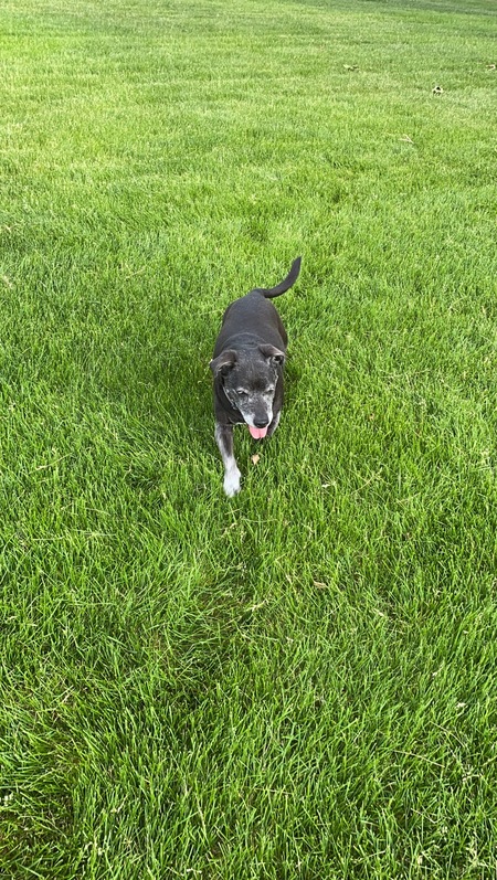 Entry image for Kobe . Clicking this image will show a larger photo