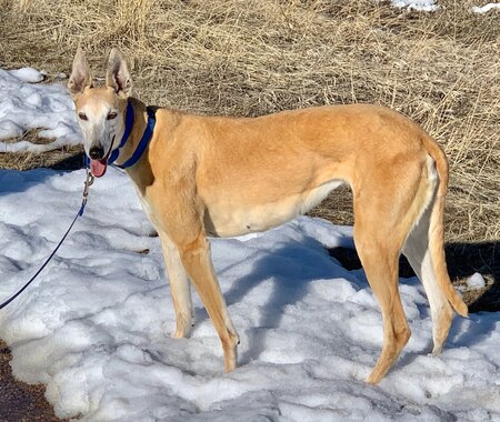 Entry image for Carmen. Clicking this image will show a larger photo