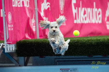 Entry image for Passion. Clicking this image will show a larger photo