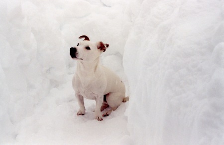 Entry image for Ezra. Clicking this image will show a larger photo