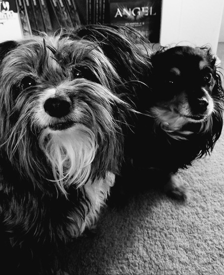 Entry image for Abner & Halle. Clicking this image will show a larger photo