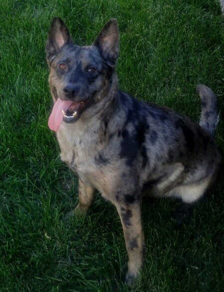 Entry image for Tehya. Clicking this image will show a larger photo