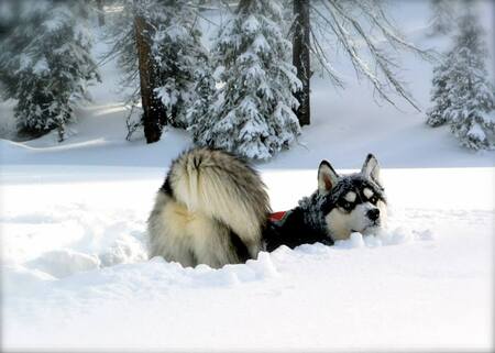 Entry image for Oakley. Clicking this image will show a larger photo