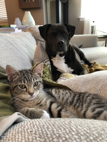 Entry image for Pixel and Max. Clicking this image will show a larger photo