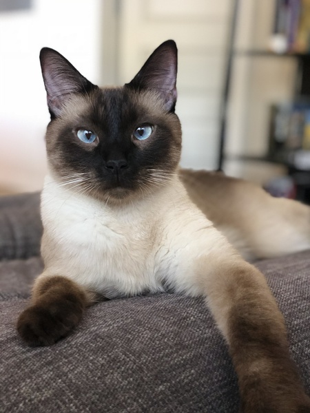 Entry image for Binx . Clicking this image will show a larger photo