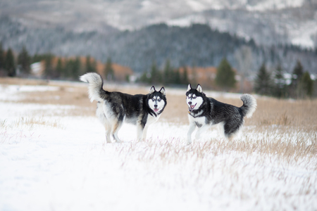 Entry image for Oakley. Clicking this image will show a larger photo