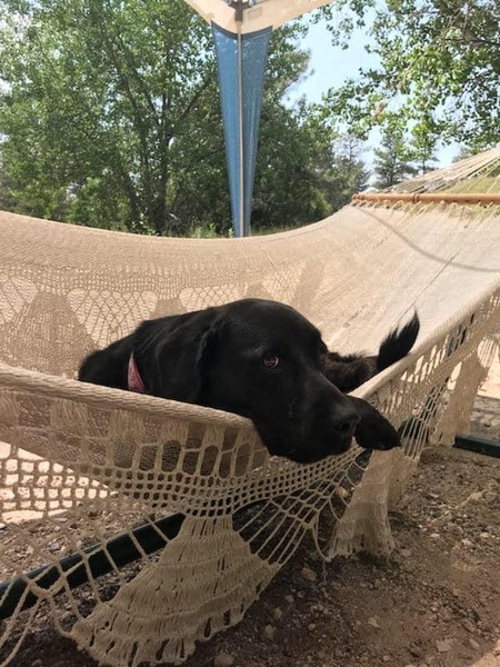 Entry image for Midnight . Clicking this image will show a larger photo