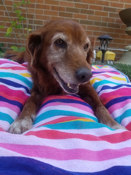 Entry image for Kena. Clicking this image will show a larger photo