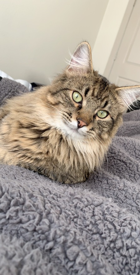 Entry image for Alistair. Clicking this image will show a larger photo