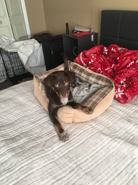 Entry image for Dana. Clicking this image will show a larger photo