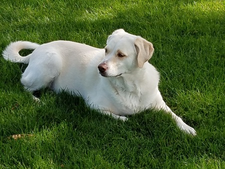 Entry image for Mia . Clicking this image will show a larger photo