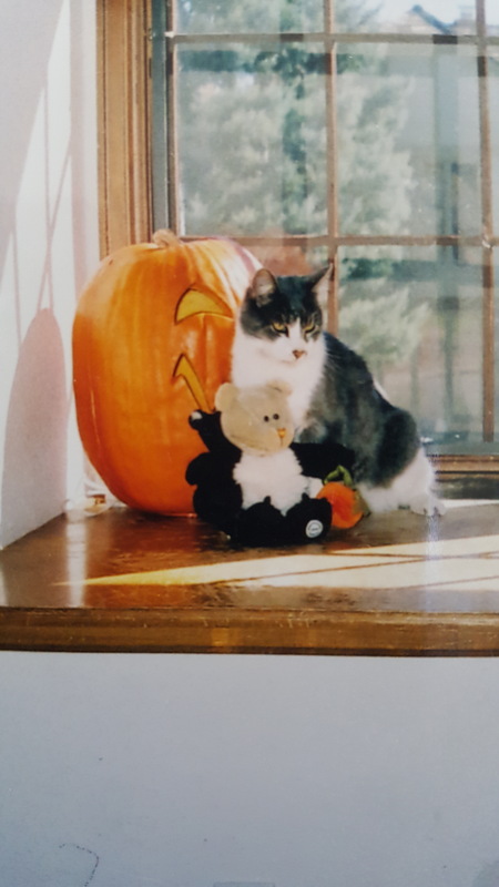 Entry image for Mister Blend. Clicking this image will show a larger photo