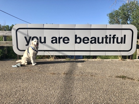 Entry image for Perl. Clicking this image will show a larger photo