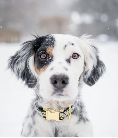 Entry image for Ella Luzinski. Clicking this image will show a larger photo