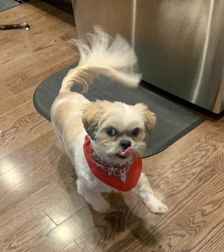 Entry image for lil Man. Clicking this image will show a larger photo