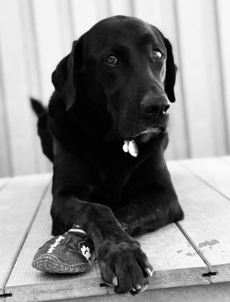 Entry image for Max. Clicking this image will show a larger photo