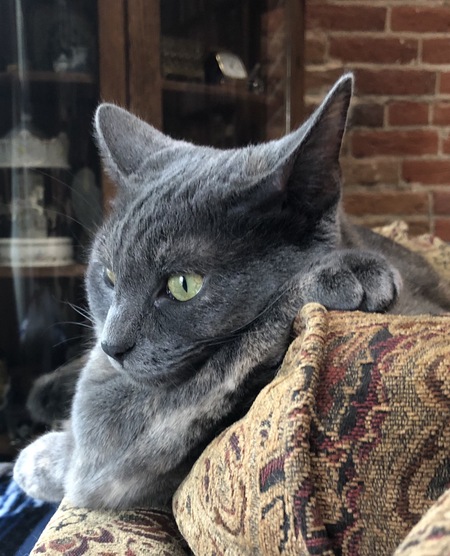 Entry image for Trudy. Clicking this image will show a larger photo