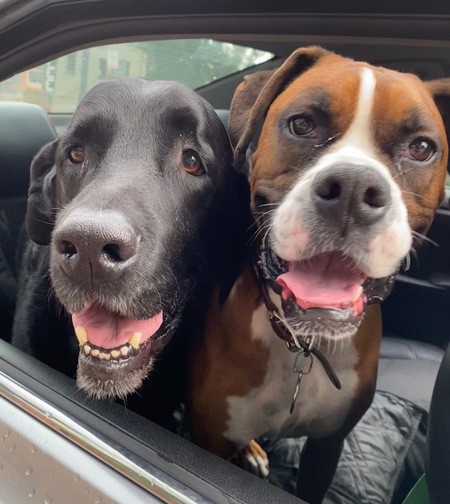 Entry image for Hunter & Wyatt. Clicking this image will show a larger photo