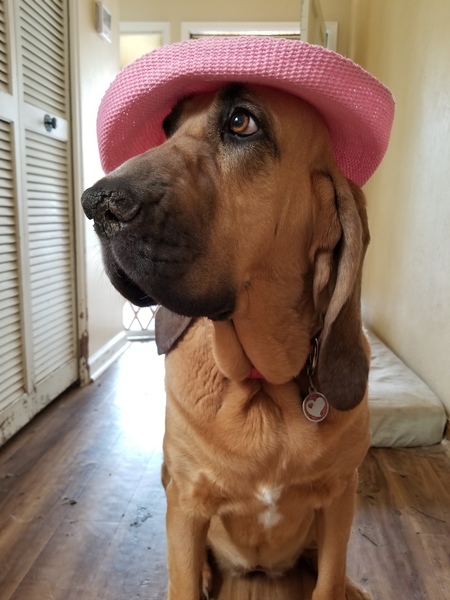 Entry image for Georgia. Clicking this image will show a larger photo