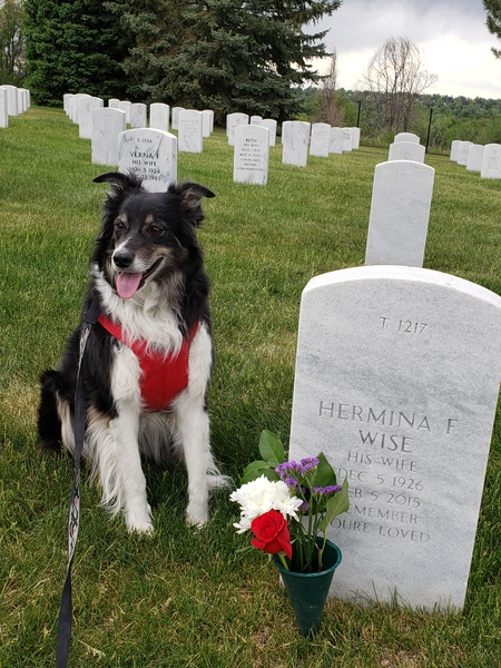 Entry image for Augie. Clicking this image will show a larger photo