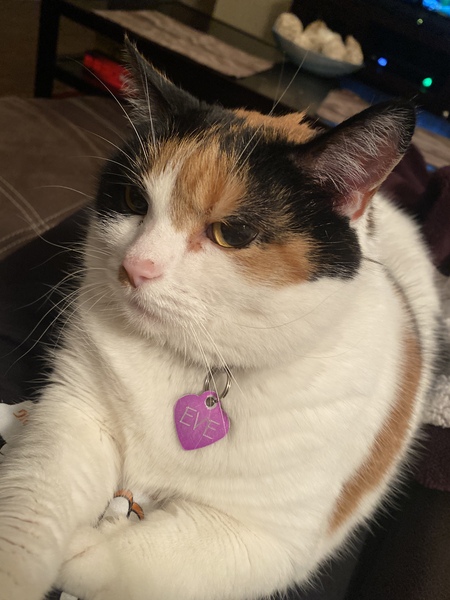 Entry image for Eve. Clicking this image will show a larger photo