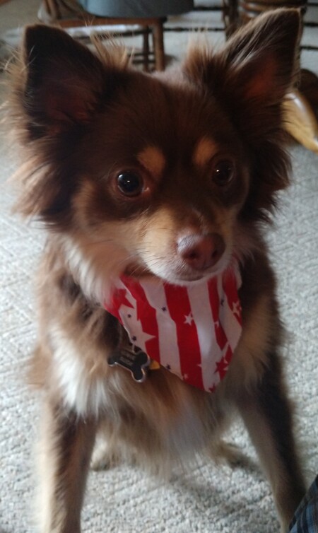 Entry image for Lewis Hamilton Slick. Clicking this image will show a larger photo