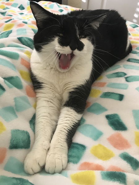 Entry image for Tootie Lynn Quirova . Clicking this image will show a larger photo