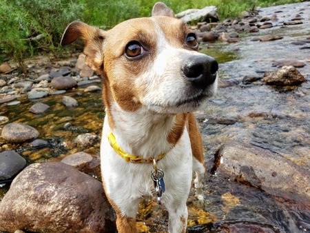 Entry image for Elena. Clicking this image will show a larger photo