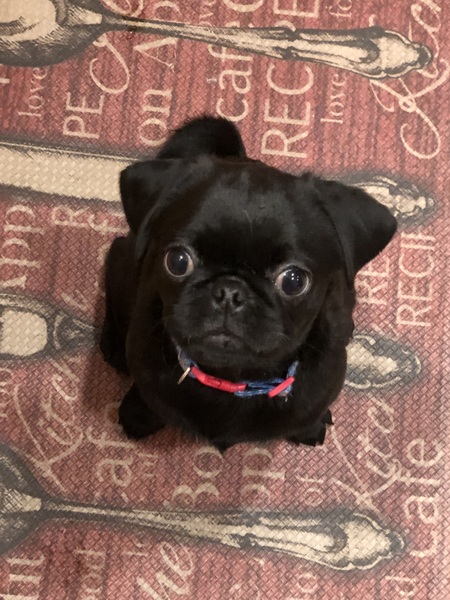 Entry image for Nitro. Clicking this image will show a larger photo