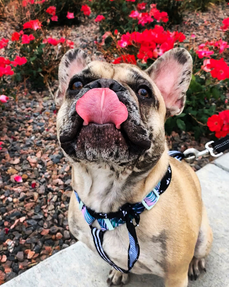 Entry image for Milton. Clicking this image will show a larger photo