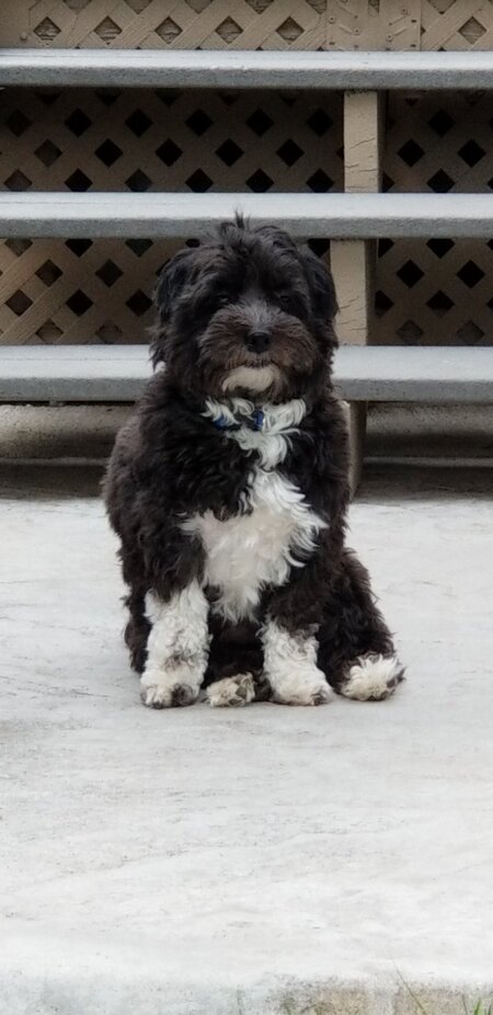 Entry image for Cruz. Clicking this image will show a larger photo