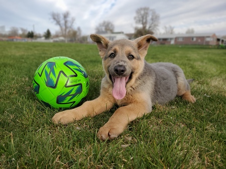 Entry image for Kratos. Clicking this image will show a larger photo