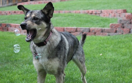 Entry image for Gucci. Clicking this image will show a larger photo