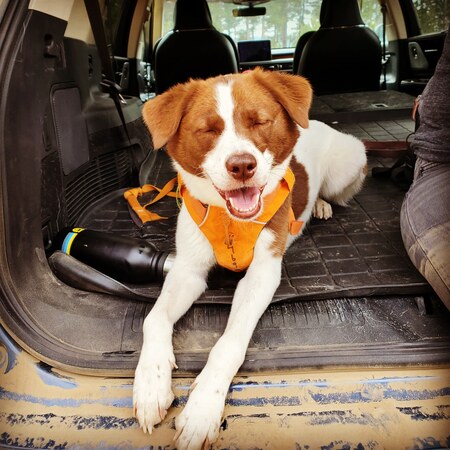 Entry image for Autumn. Clicking this image will show a larger photo