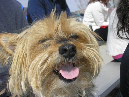 Entry image for Jaxsun. Clicking this image will show a larger photo