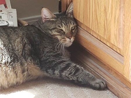 Entry image for Percy J.. Clicking this image will show a larger photo