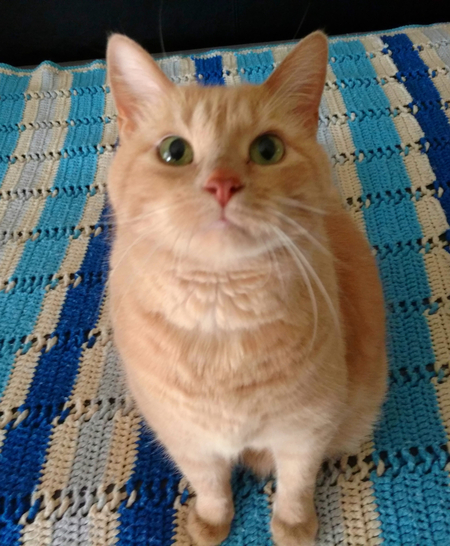 Entry image for Starski. Clicking this image will show a larger photo