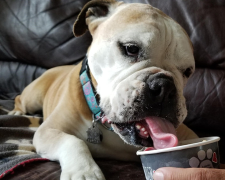 Entry image for Mugi Batake. Clicking this image will show a larger photo