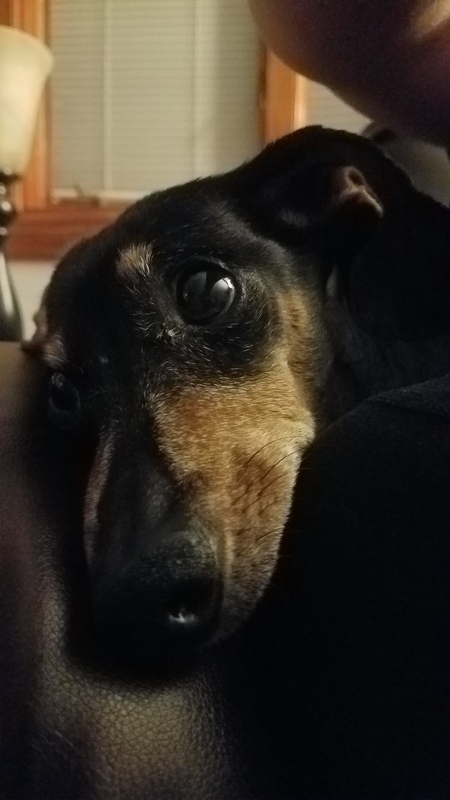 Entry image for Dallas. Clicking this image will show a larger photo