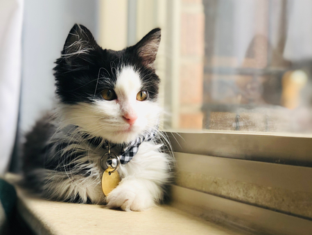 Entry image for Rorschach. Clicking this image will show a larger photo