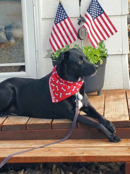 Entry image for Tasha. Clicking this image will show a larger photo