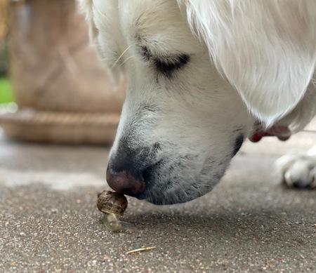 Entry image for Ellie. Clicking this image will show a larger photo