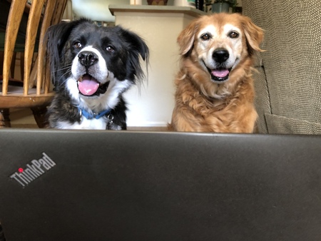 Entry image for Easton . Clicking this image will show a larger photo